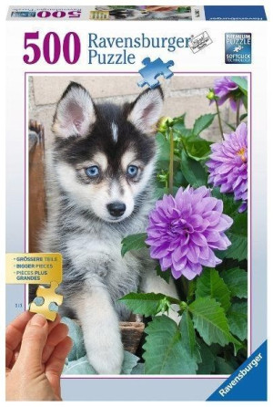 Ravensburger Puzzle 500 El Śliczny Husky