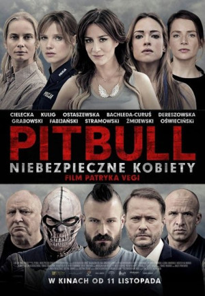 Film Pitbull. Niebezpieczne Kobiety. Płyta DVD