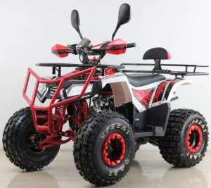 QUAD Beretta Bull 125cc 8" automat