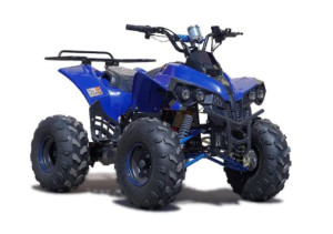Quad elektryczny 8" 1000W H8 duży! Varia 008/8 - Kraftwele