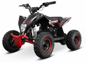 Mini Quad LIYA ASIX M11/6 elektryczny 1000W 6" Wysoka jakość!