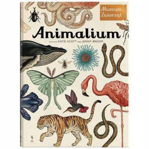 Animalium Katie Scott, Jenny Broom