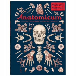Anatomicum wyd. 2022 Praca zbiorowa