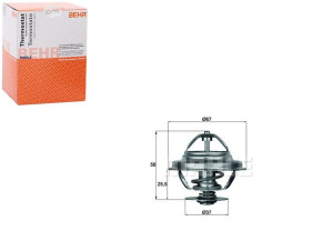 Termostat [behr]
