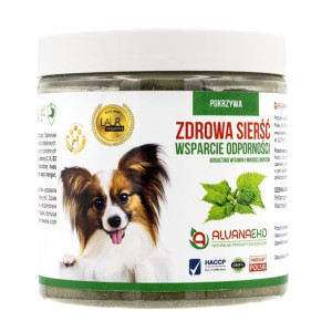 Pokrzywa dla psów