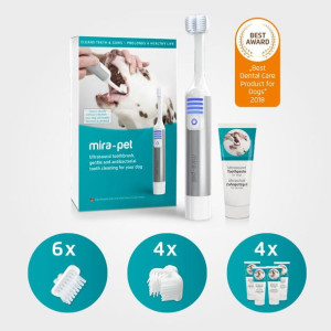 Zestaw Biznes Cleany Teeth dla groomerów