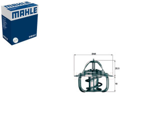 Termostat [mahle]