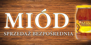 Baner reklamowy (200x100 cm) - wzór BR29-2x1