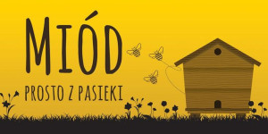 Baner reklamowy (200x100 cm) - wzór BR33-2x1