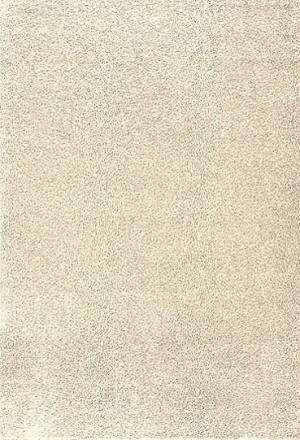 Dywan Shaggy AW Florida 03 - 40x60cm