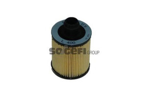 Filtr Oleju Fiat 1,6 1,9d Mult Purflux