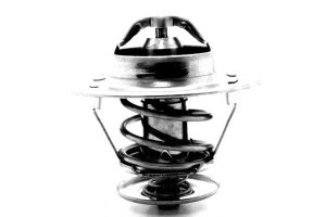 Termostat (89c) Citroen C15 Peugeot 309 I Talbot H