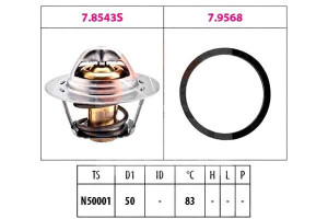 Termostat Facet 8200772990 8200479402 1880543 5805