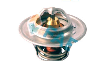 Termostat Fae Gts282 032121110f 03l121113a