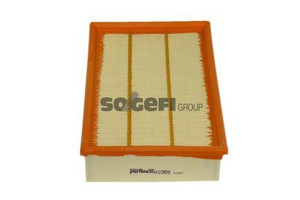 Filtr Powietrza Ford 2,0 2,4di Purflux