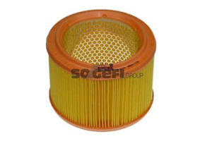 Filtr Powietrza Citroen 1,9d Purflux