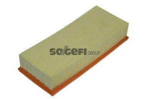 Filtr Powietrza Renault 2,2td Purflux