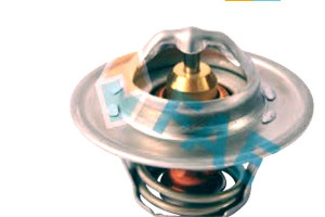Termostat Skoda Octavia 2,0 04- Fae