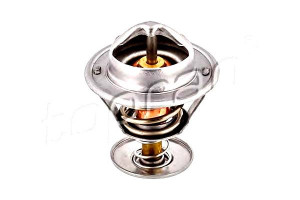 Termostat (89c) Citroen Ax Saxo Xsara Zx Peugeot 1