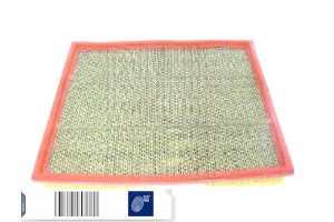 Filtr Powietrza Renault 2,5-2,8dti 97- Master Blue