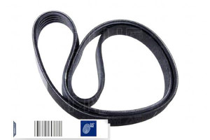 Pasek Wielorowkowy (5pk1800) Blue Print