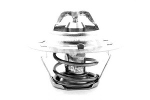 Termostat (78c) Renault 19 I Chamade 1.7 10.89-04.