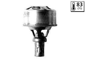 Termostat Renault Valeo