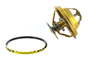 Termostat (80c) Mercedes V (638/2) Audi A3 Tt Bmw