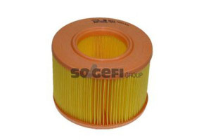 Filtr Powietrza Renault 1,9d Purflux