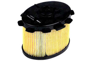Filtr Paliwa Peugeot 1,9d Delphi