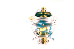 Termostat Fae 2550022050 2550022250 0k41015171a T