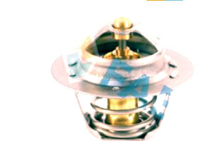 Termostat Fae Pel10016 Gts301 Th595588j