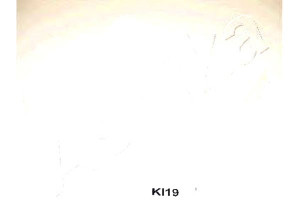 Filtr Kabinowy Kia Soul 1.6 Ashika