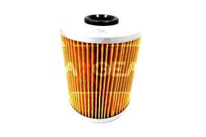 Filtr Paliwa Renault 2,5dti Maxgear