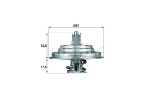 Termostat Mercedes Behr
