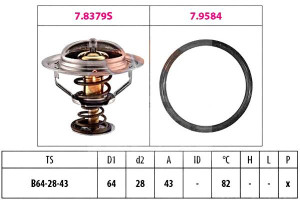 Termostat Nissan X-trail Facet