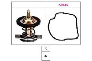 Termostat Facet A6112000315 A6112000015 A611200011