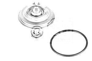 Termostat [febi Bilstein]