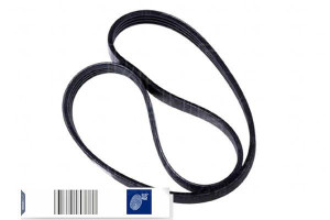 Pasek Wielorowkowy (4pk747) Blue Print