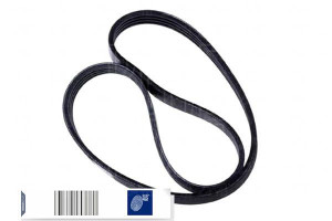 Pasek Wielorowkowy (4pk780) Blue Print