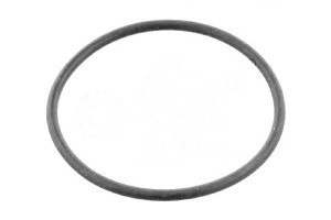 Uszczelka Termostatu Mercedes C Klasa W203 1,8 04-