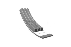 Pasek Wielorowkowy (3pk890) Meyle