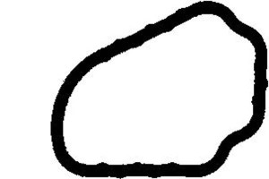 Uszczelka Termostatu Ford Galaxy Vw Corrado Golf I