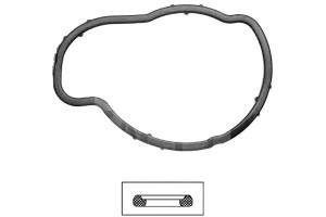 Uszczelka Termostatu Opel Astra 1,2 16v 00- Eps