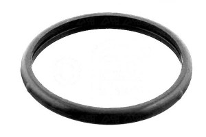 Uszczelka Termostatu [febi Bilstein]
