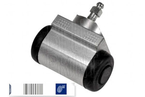 Cylinderek Hamulcowy Smart Blue Print
