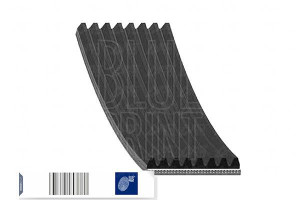 Pasek Wielorowkowy (8pk1956) Blue Print