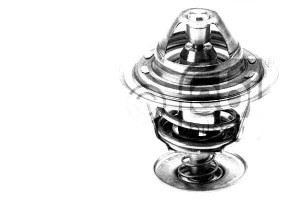 Termostat (82c) Nissan Almera I Primera Serena Sun