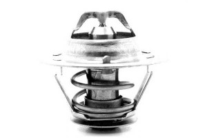 Termostat Fiat 79c 2,5d Ducato Calorstat