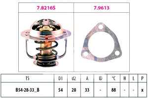Termostat Nissan Eps